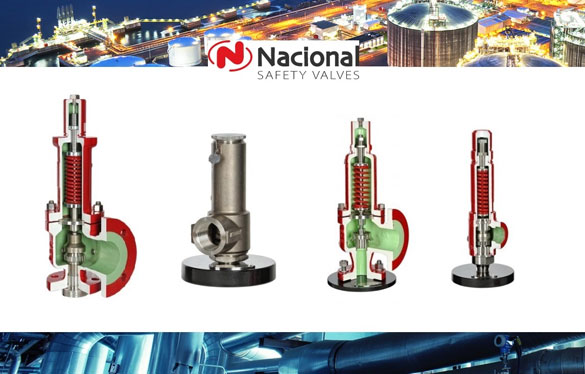 Nacional safety valves logo